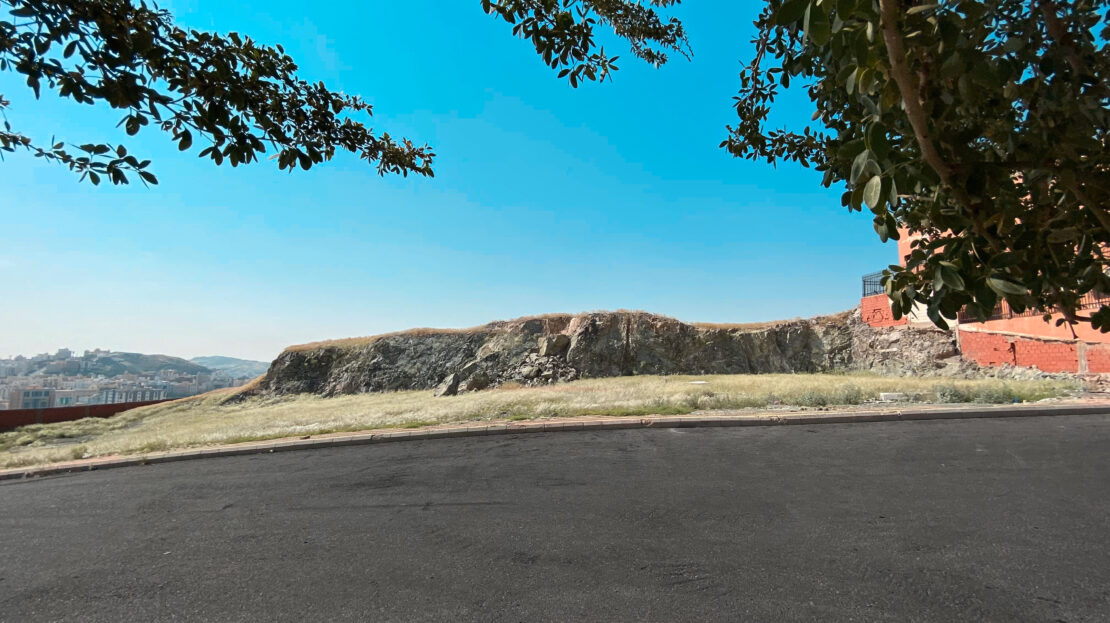 video image